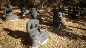 16 Buddhas